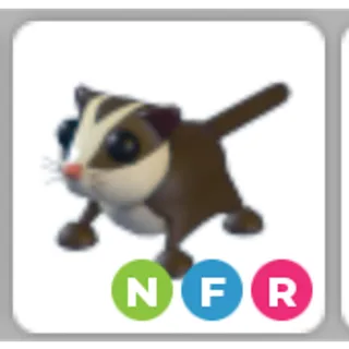 NFR Sugar Glider