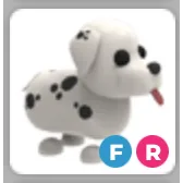 FR Dalmatian