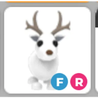 FR Arctic Reindeer