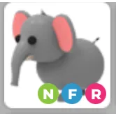 NFR Elephant