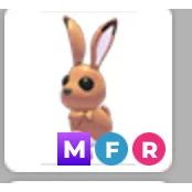 MFR Hare