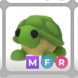 MFR Turtle