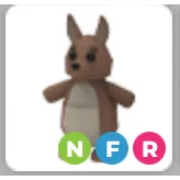 NFR Kangaroo