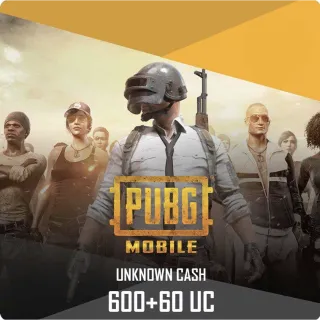 PUBG Mobile 660 Uc Global pin