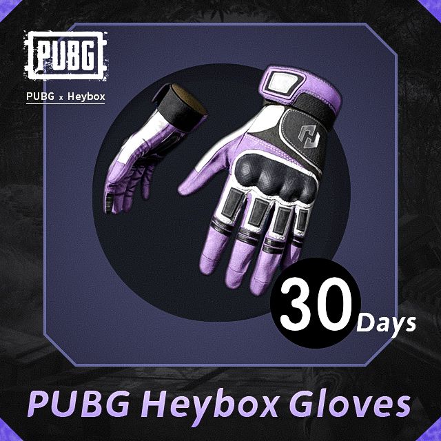PUBG Heybox Gloves 30days PlayerUnknown's Battlegrounds Game Items