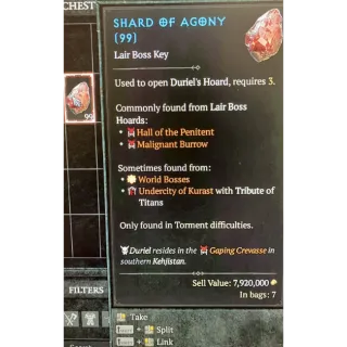 S10 Shard of agony x1000 Diablo 4