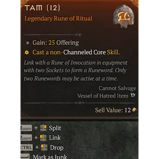 Season 13 Rune Tam x6 Diablo 4