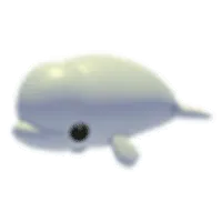 Beluga Whale
