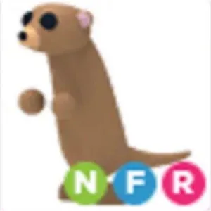 Meerkat NEON FR