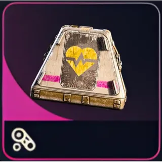 20x Looting Mk.3 (Survivor) Augment Backpack - Arc Raiders