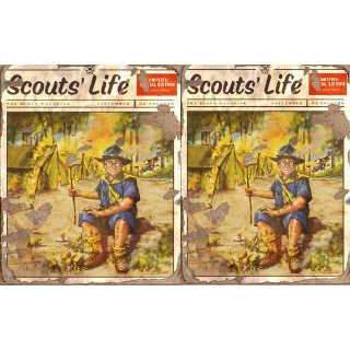 401 scout life 9