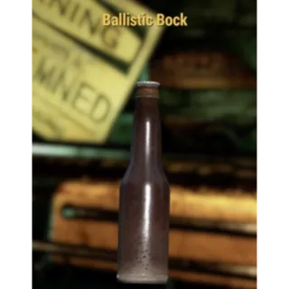 ballistic bock 1k