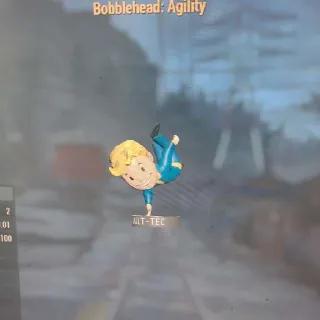 50 Agility Bobbleheads