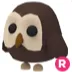 R Owl