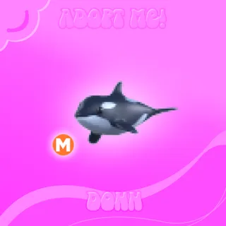 MEGA ORCA