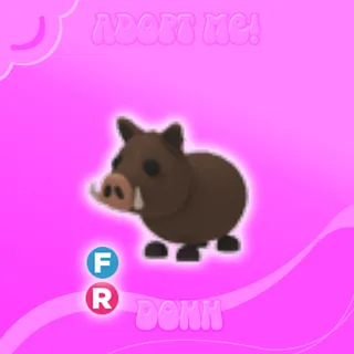 FR WILD BOAR