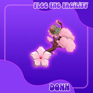 CHERRY BLOSSOM FTF
