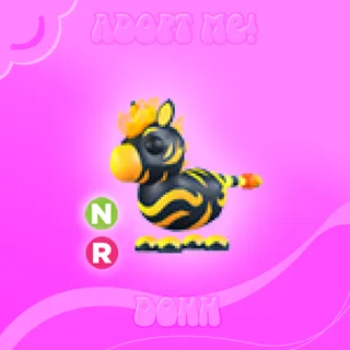 NR FLAMING ZEBRA