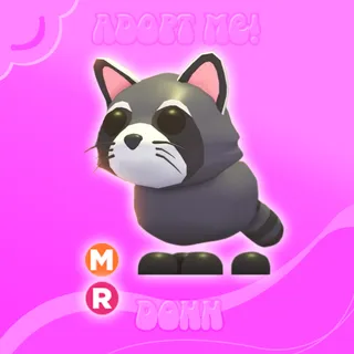 MR RACCOON