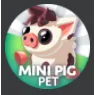 4x Mini Pig