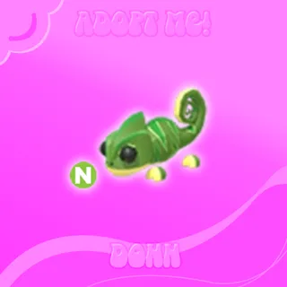 Pet | NEON CHAMELEON