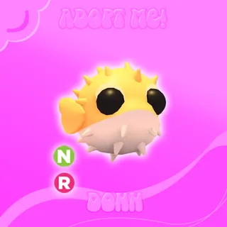 NR PUFFER FISH