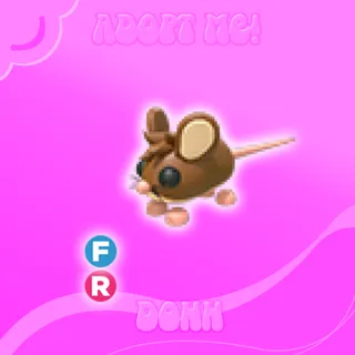 FR FIELD MOUSE
