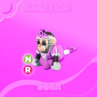 NR Princess Capuchin Monkey