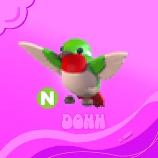 NEON HUMMINGBIRD