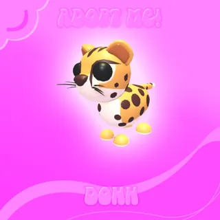 CHEETAH