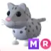 Pet | MR Snow Leopard