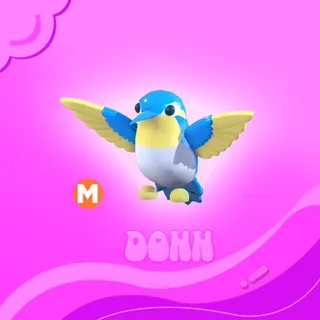 MEGA DIAMOND HUMMINGBIRD