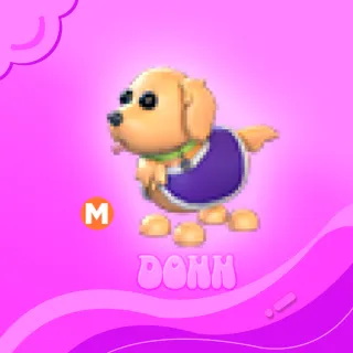 Pet | Mega Therapy Dog