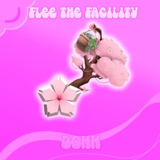 CHERRY BLOSSOM FTF