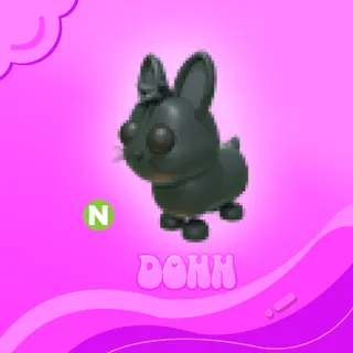 NEON AMAMI RABBIT