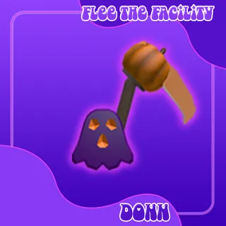 PUMPKIN SLICE SET FTF