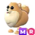 MR POMERANIAN