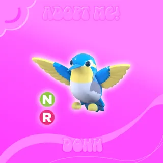 NR DIAMOND HUMMINGBIRD