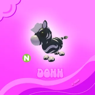 NEON ASH ZEBRA