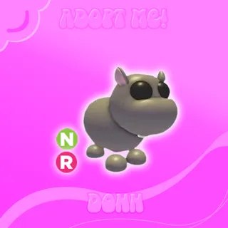 NR HIPPO