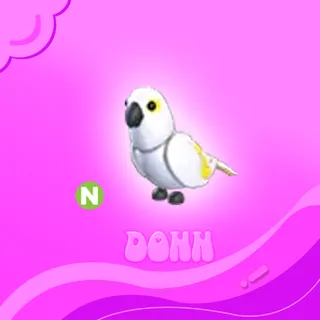 Neon White Amazon
