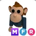 MFR Business Monkey