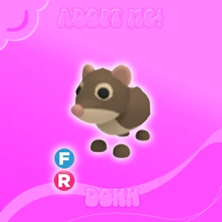 FR SHREW