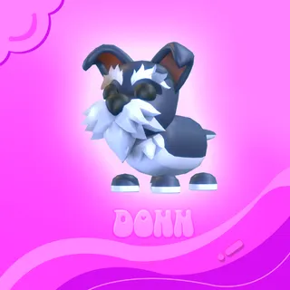 Mini Schnauzer