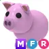 MFR Pig