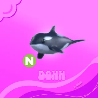 Neon Orca