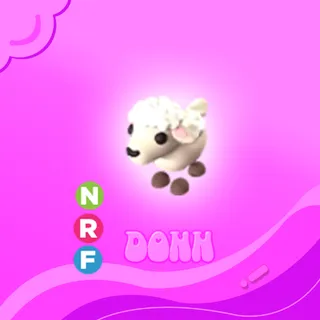 NFR LAMB