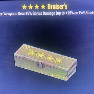 Bruisers mod