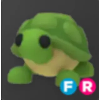 Turtle > FR 🐢 | Adopt Me | Fast Delivery ✅