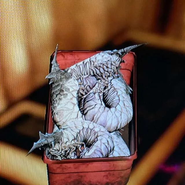 รายการภาพถ่าย